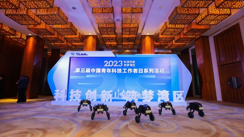 软件测试流程：揭秘高效实施的关键步骤